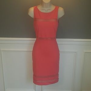 Bebe Pink Dress Size Small